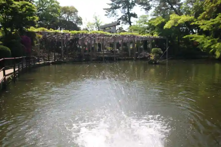 越ヶ谷久伊豆神社(埼玉県)
