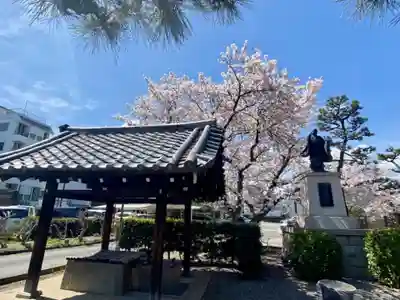 妙蓮寺の手水舎