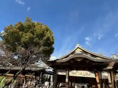 湯島天満宮の{uncategorized: "未分類", other: "その他", undefined: "問題あり", building: "その他建物", grave: "お墓", sacred_gate: "鳥居", guardian: "狛犬", statue: "像", buddha: "仏像", history: "歴史", nature: "自然", garden: "庭園", animal: "動物", pagoda: "塔", temizu: "手水舎", mountain_gate: "山門・神門", sanctuary: "本殿・本堂", subordinate: "末社・摂社", art: "芸術", scenery: "景色", jizo: "地蔵", ema: "絵馬", goshuin: "御朱印", omikuji: "おみくじ", items: "授与品その他", amulet: "お守り", goshuincho: "御朱印帳", eats: "食事", festival: "お祭り", votive_dance: "神楽", shichigosan: "七五三参", wedding: "結婚式", experience: "体験その他", initially: "初詣", around: "周辺", anti_infection: "感染症対策"}