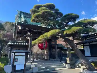 長谷寺の山門・神門