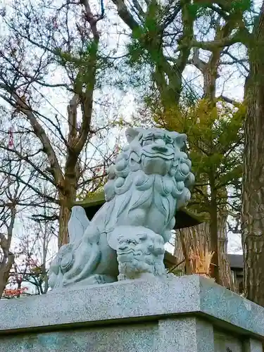 手稲神社の狛犬