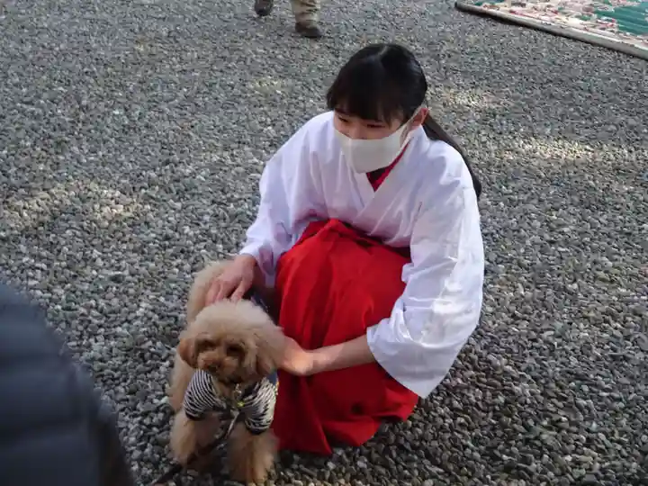 座間神社の動物