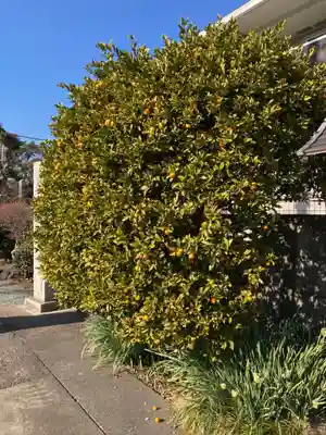 隆盛寺(神奈川県)