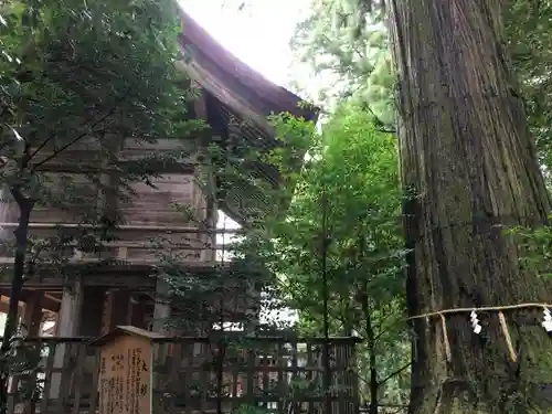 須佐神社の建物その他