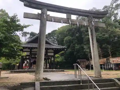 許波多神社（小幡東中鎮座）の鳥居