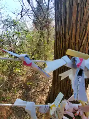 千代ケ岡八幡宮(栃木県)