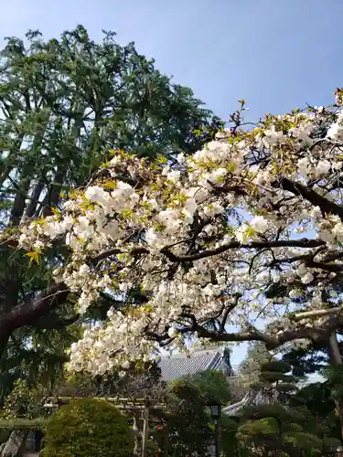 東光寺(東京都)