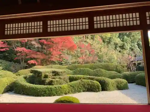 大池寺の庭園