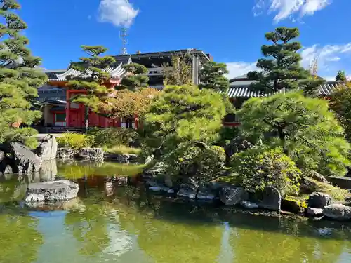 蓮華王院（三十三間堂）の庭園