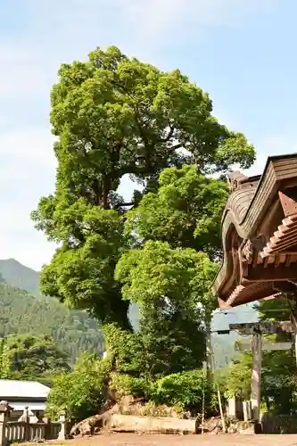 白人神社(徳島県)