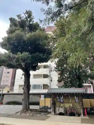 駒込富士神社(東京都)