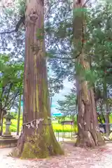 住吉神社(宮城県)