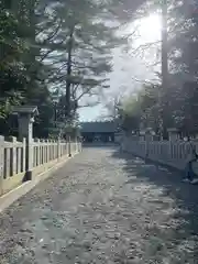 千歳神社の山門