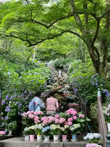長谷寺(奈良県)