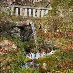 古峯神社の自然