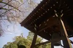 豪徳寺の建物その他