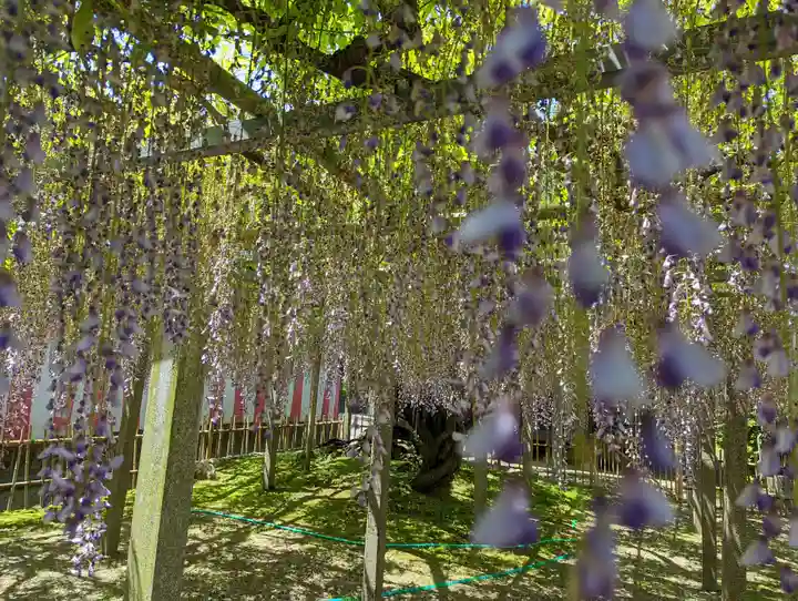 惣社神社(滋賀県)