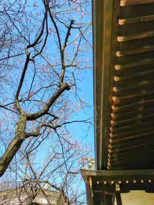 牛天神北野神社(東京都)