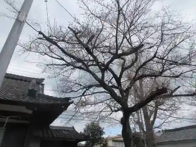 膳所神社(滋賀県)