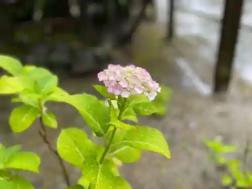 伊勢の国 四天王寺(三重県)