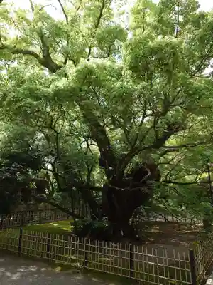 浜松八幡宮(静岡県)