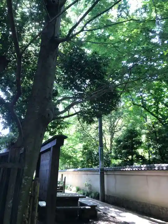 武蔵国分寺のその他建物