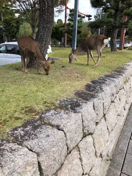 興福寺(奈良県)