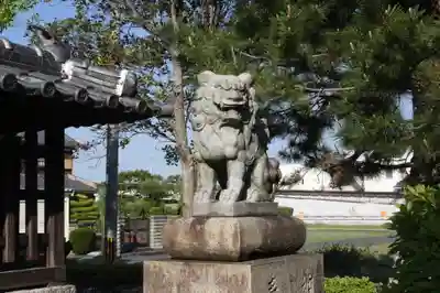 八幡神社の狛犬