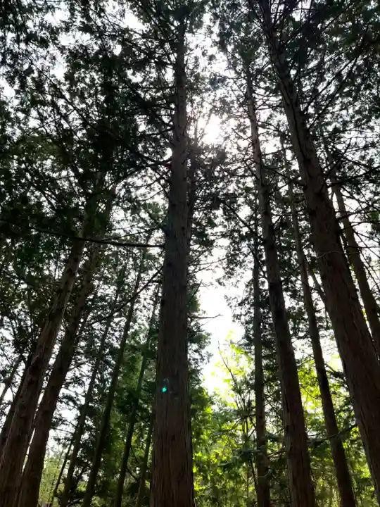 諏訪神社(山梨県)