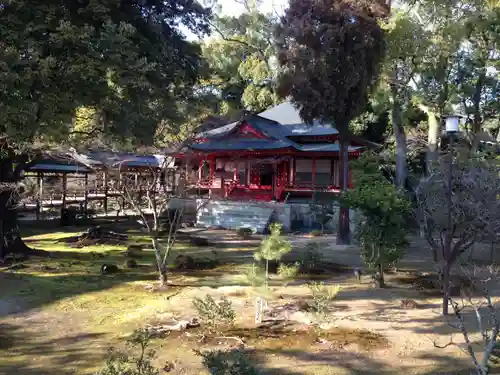 大覚寺の庭園