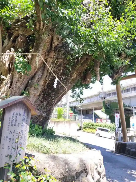 五所神社(神奈川県)