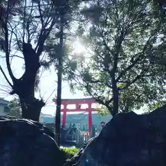 總社 和田八幡宮の鳥居