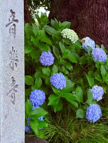 音楽寺(愛知県)