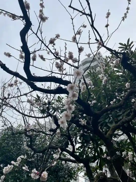 西応寺の{uncategorized: "未分類", other: "その他", undefined: "問題あり", building: "その他建物", grave: "お墓", sacred_gate: "鳥居", guardian: "狛犬", statue: "像", buddha: "仏像", history: "歴史", nature: "自然", garden: "庭園", animal: "動物", pagoda: "塔", temizu: "手水舎", mountain_gate: "山門・神門", sanctuary: "本殿・本堂", subordinate: "末社・摂社", art: "芸術", scenery: "景色", jizo: "地蔵", ema: "絵馬", goshuin: "御朱印", omikuji: "おみくじ", items: "授与品その他", amulet: "お守り", goshuincho: "御朱印帳", eats: "食事", festival: "お祭り", votive_dance: "神楽", shichigosan: "七五三参", wedding: "結婚式", experience: "体験その他", initially: "初詣", around: "周辺", anti_infection: "感染症対策"}
