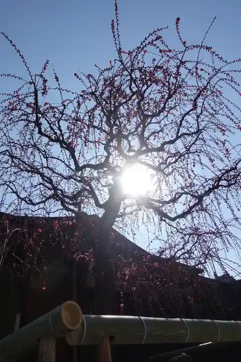 菅原天満宮(菅原神社)(奈良県)