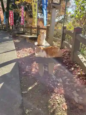唐澤山神社(栃木県)