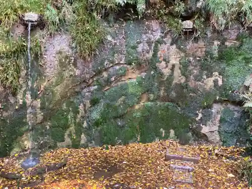 明王院（満願寺別院）の自然