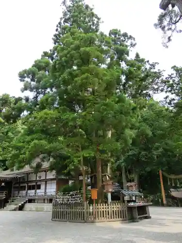 大神神社の自然