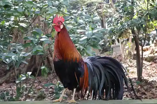 大甕神社(茨城県)
