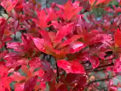 滑川神社 - 仕事と子どもの守り神の自然