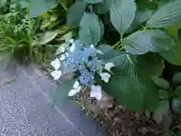 出町妙音堂(京都府)