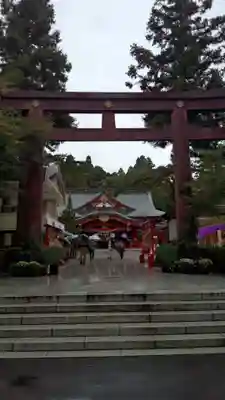 宮城縣護國神社の鳥居