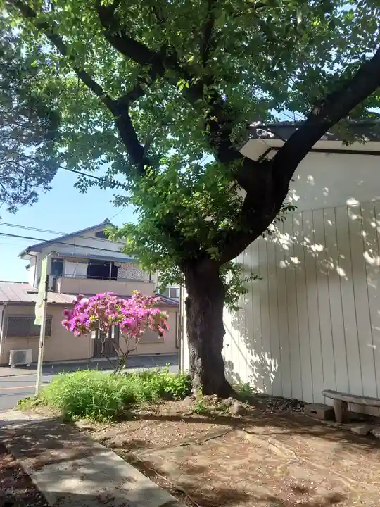 峰愛宕神社(埼玉県)