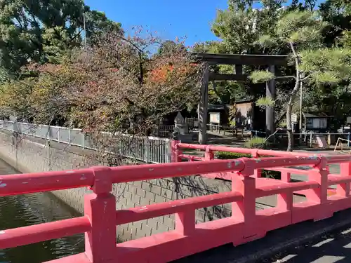 荏原神社の鳥居