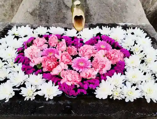 差出磯大嶽山神社 仕事と健康と厄よけの神さまの手水舎