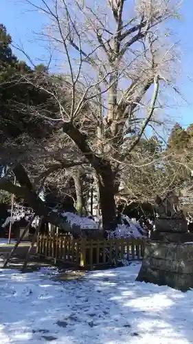 水戸八幡宮のその他建物