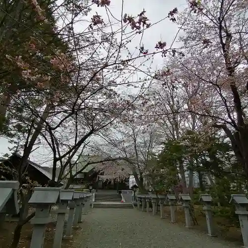 信濃神社のその他建物