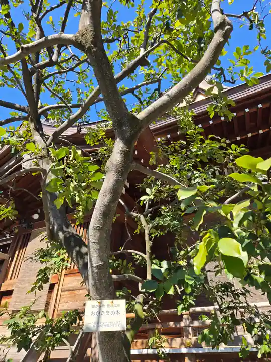 大鳥神社(東京都)