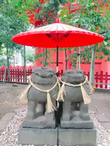 浅草神社の狛犬