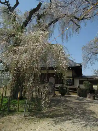 観音寺(茨城県)